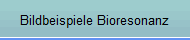 Bildbeispiele Bioresonanz