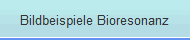 Bildbeispiele Bioresonanz